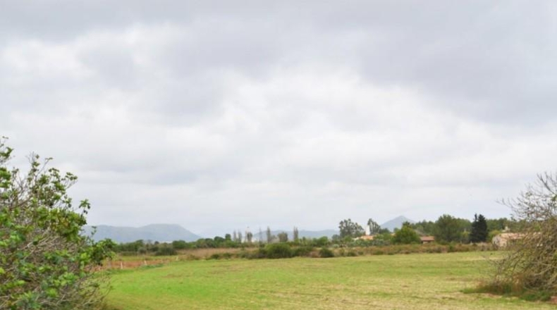 Islas Baleares - Muro - 24300m2