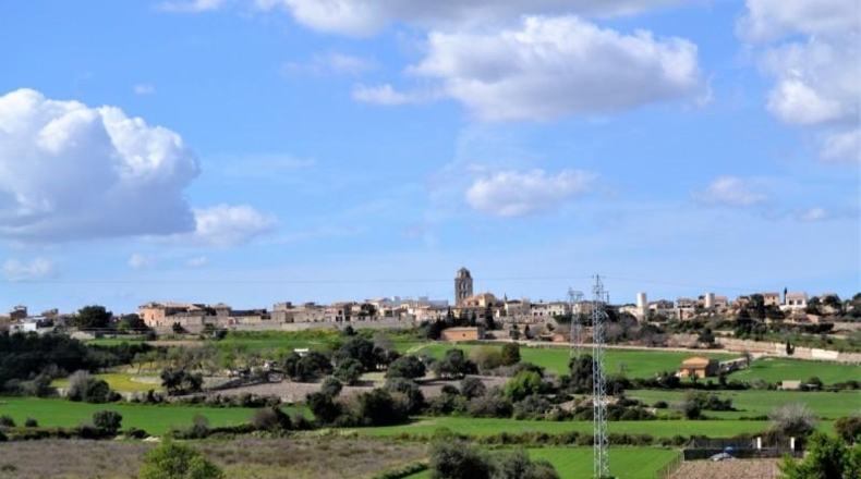 Islas Baleares - Muro - 24300m2