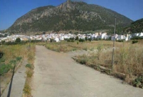 Algodonales 6345&nbsp;m²