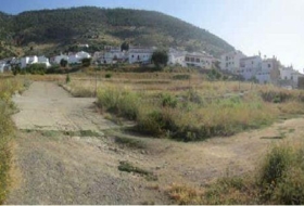 Algodonales 6345&nbsp;m²