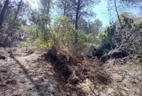 Foto 8