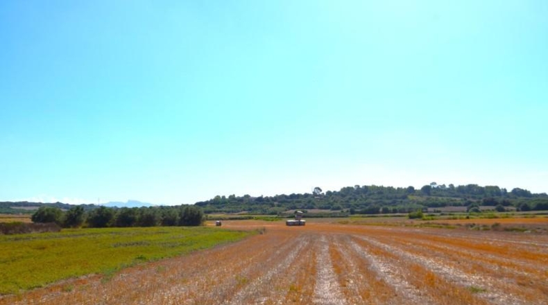 Islas Baleares - Muro - 19622m2