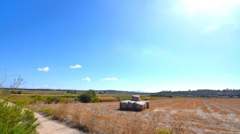 Islas Baleares - Muro - 19622m2
