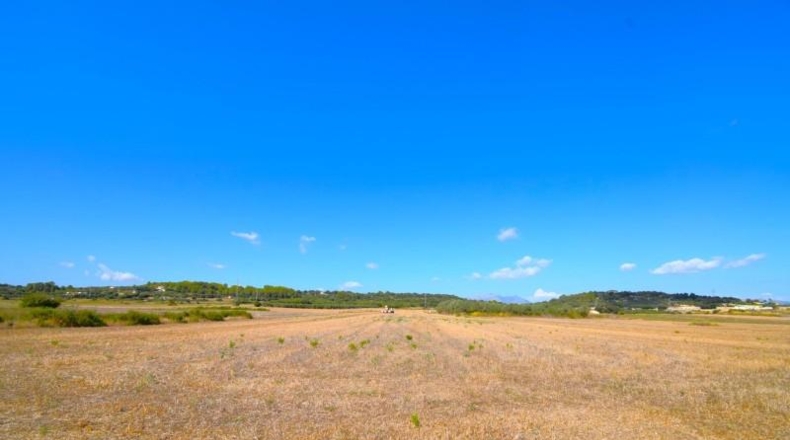 Islas Baleares - Muro - 19622m2