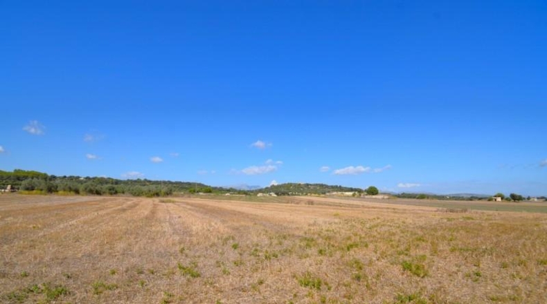 Islas Baleares - Muro - 19622m2