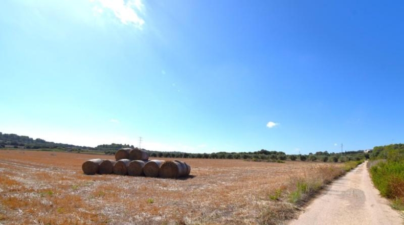 Islas Baleares - Muro - 19622m2