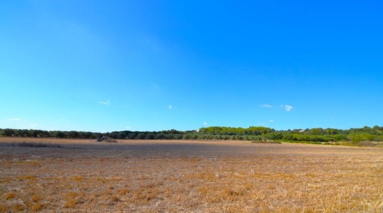 Islas Baleares - Muro - 19622m2