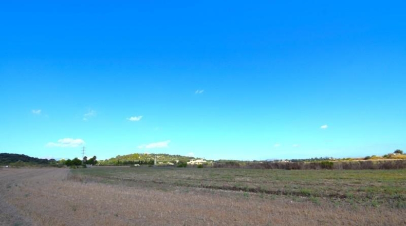 Islas Baleares - Muro - 19622m2