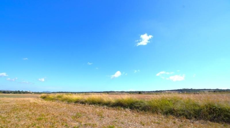 Islas Baleares - Muro - 19622m2