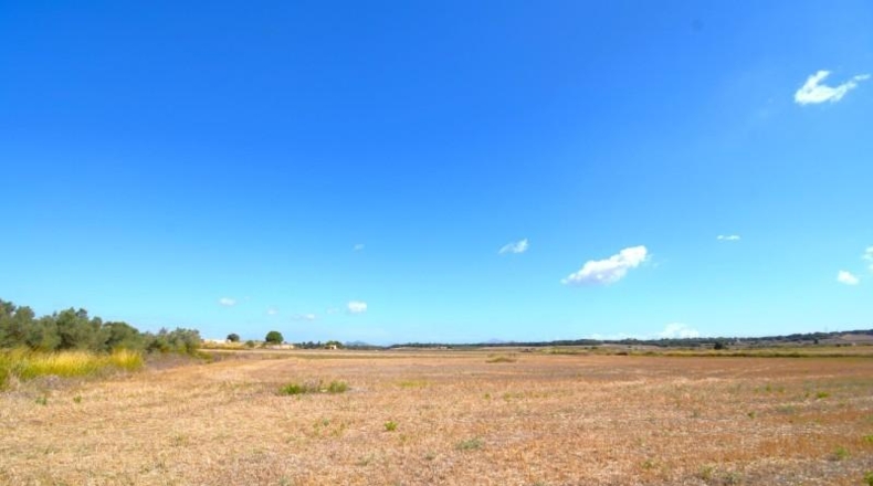 Islas Baleares - Muro - 19622m2