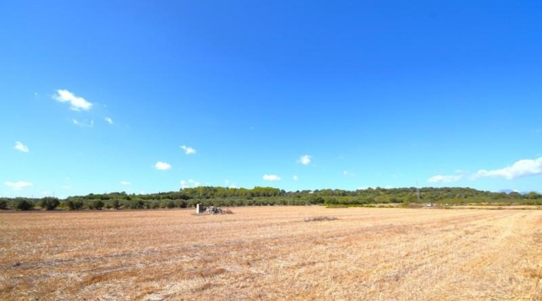 Islas Baleares - Muro - 19622m2