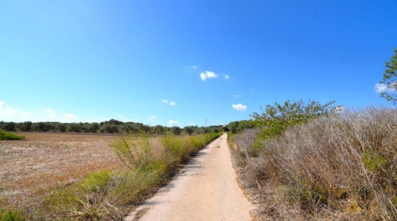 Islas Baleares - Muro - 19622m2