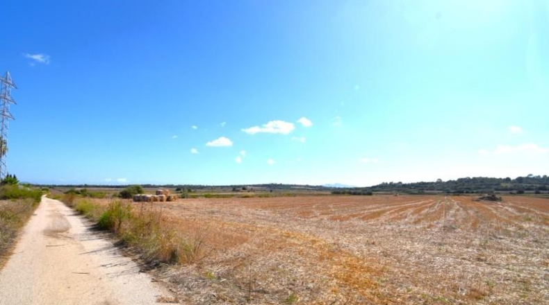 Islas Baleares - Muro - 19622m2