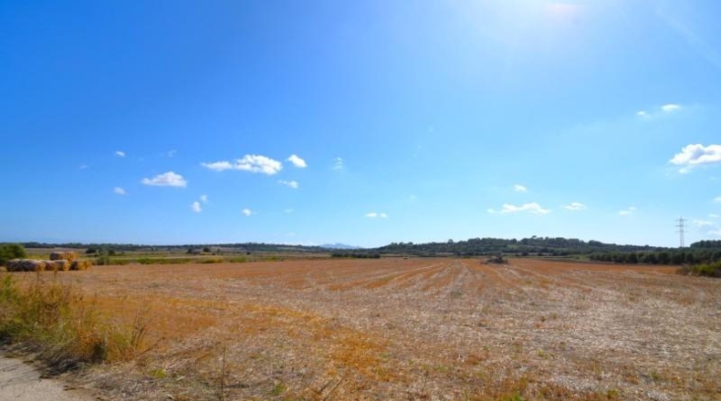 Islas Baleares - Muro - 19622m2