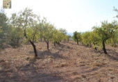 Terreno no urbanizable en venta en la España, Ibi, ref: TR116020 foto