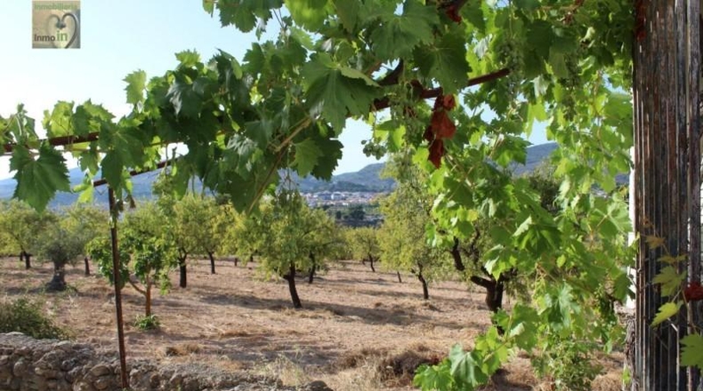 Alicante - Ibi - 18400m2