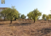 Terreno no urbanizable en venta en la España, Ibi, ref: TR116020 foto