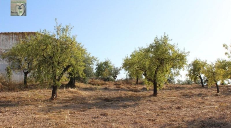 Alicante - Ibi - 18400m2