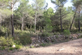 Foto 15