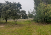 Xalet independent amb terreny en venda a la España, Mèrida, ref.: TR320980 foto