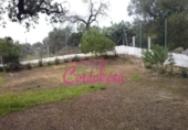 Sòl urbà en venda a la España, Alcolea, ref.: TR119336 foto