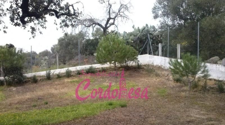 Córdoba - Córdoba - 3080m2