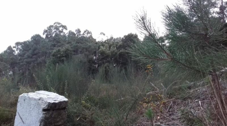 Pontevedra - Salceda de Caselas - 3200m2