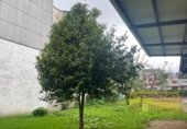 Village house for sale on España, Sarria, ref: TR293686 photo