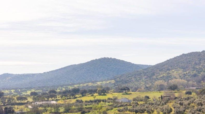 Cordova - Córdoba - 259m2