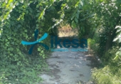 Chalet independiente con terreno en venta en la España, La Puebla del Río, ref: TR370066 foto