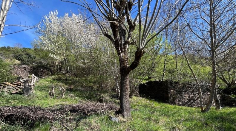 Lérida - Bausén - 750m2