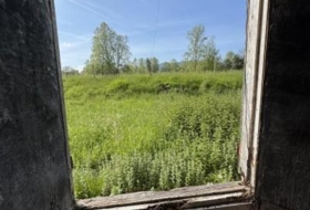 Foto 7