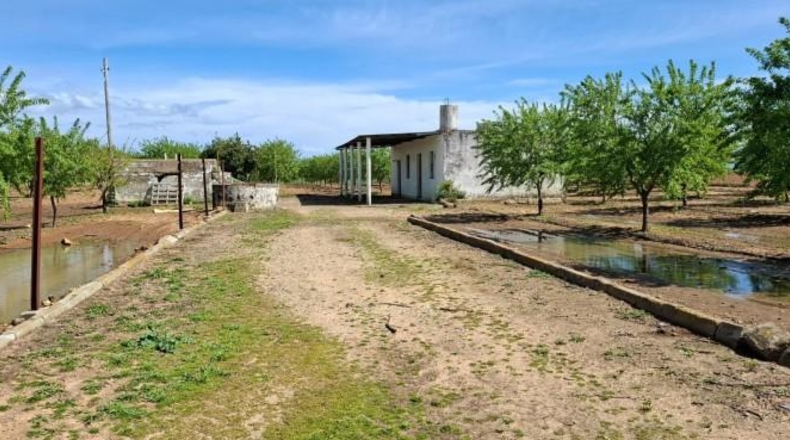 Seville - Utrera - 25m2