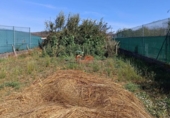 Xalet independent amb terreny en venda a la España, Lugo, ref.: TR172092 foto