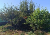 Xalet independent amb terreny en venda a la España, Lugo, ref.: TR172092 foto