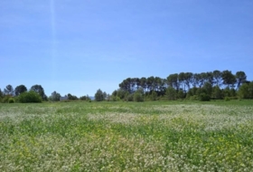 Agullent 39168&nbsp;m²