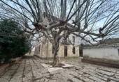 Chalet independiente con terreno en venta en la España, Peralta, ref: TR401654 foto