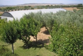 Corella 4500&nbsp;м²
