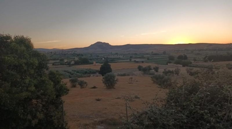 Granada - Alhendín - 3421m2