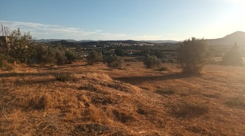 Granada - Alhendín - 3421m2