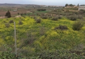 Casa amb terreny en venda a la España, Alhendín, ref.: TR304640 foto