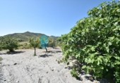 Casa de campo con terreno en venta en la España, Lorca, ref: TR145261 foto