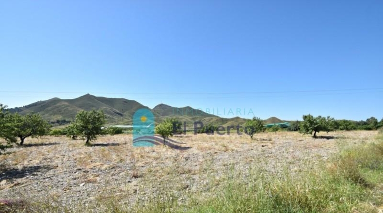 Murcia - Mazarrón - 57200m2