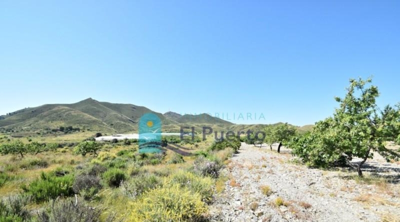 Murcia - Mazarrón - 57200m2