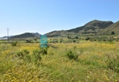 Casa de campo con terreno en venta en la España, Lorca, ref: TR145261 foto