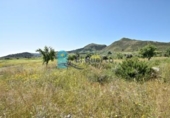 Casa de campo con terreno en venta en la España, Lorca, ref: TR145261 foto