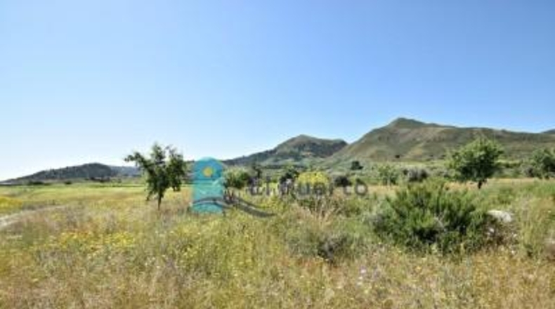 Murcia - Mazarrón - 57200m2