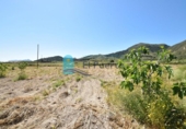 Casa de campo con terreno en venta en la España, Lorca, ref: TR145261 foto