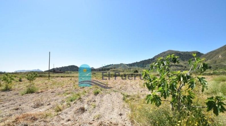 Murcia - Mazarrón - 57200m2