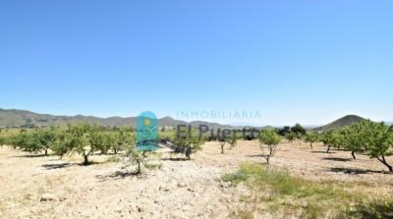 Murcia - Mazarrón - 57200m2